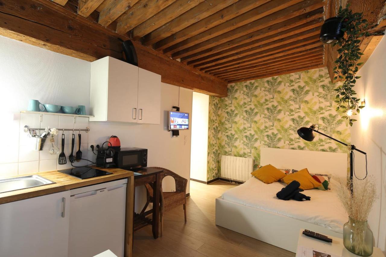 Charming Studio Centre Ville De Лион Экстерьер фото